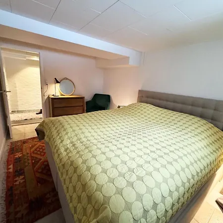 And Unique Basement With Parking Leilighet