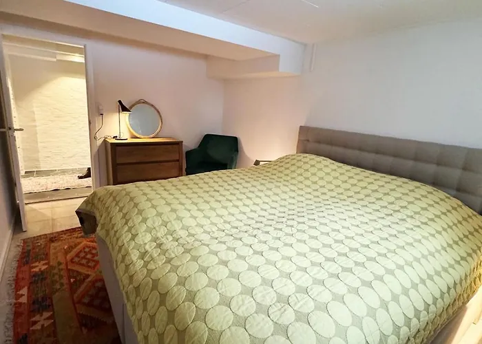 Central&unique Basement With Parking Appartement